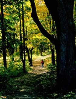 Sentier de la contrescarpe